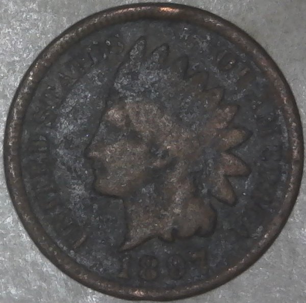 1897-Indian-Head-Cent-For-Grading